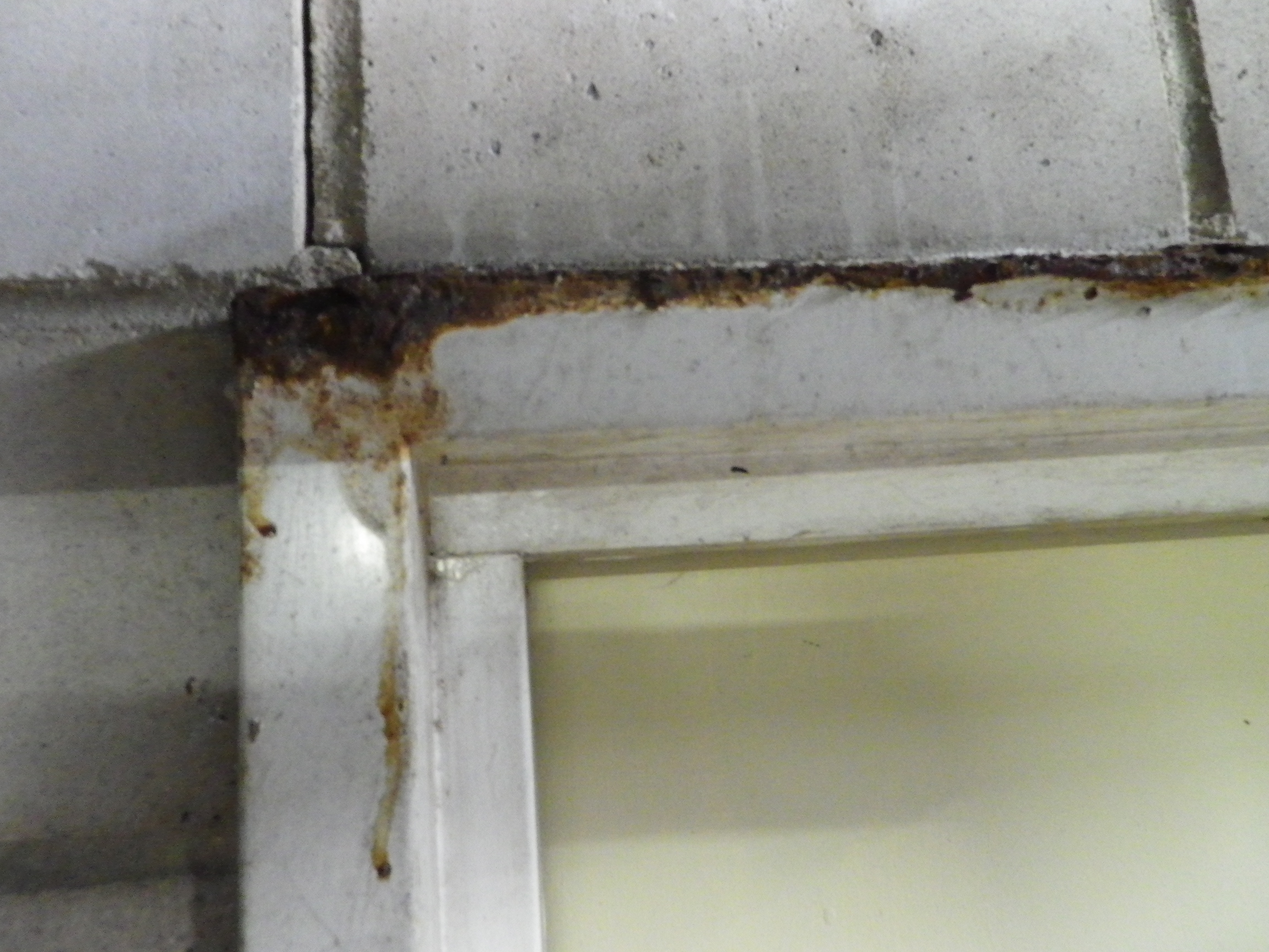 SP52948-Block-A-external-fire-door-2-rusted-frame-due-to-water-damages-photo-6-16Apr2021.jpg