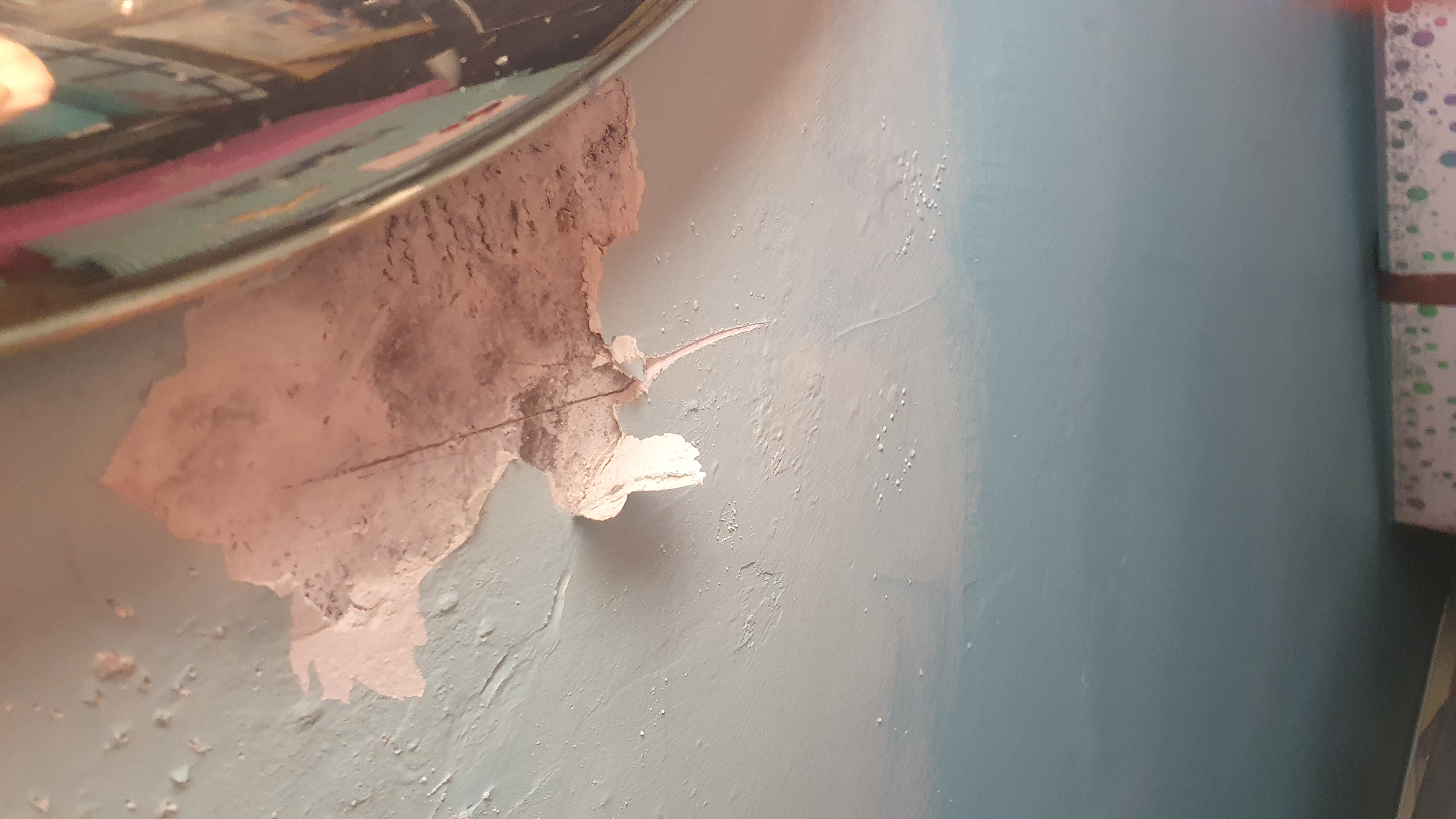 SP52948-Lot-158-damaged-ceiling-near-electrical-lighting-due-to-water-leaks-unrepaired-since-Sep2020-photo-4-taken-3Feb2022.jpg