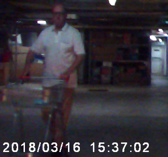 SP52948-Lot-181-Stan-Pogorelsky-using-shopping-trolley-kept-in-his-garage-dashboard-camera-16Mar2018