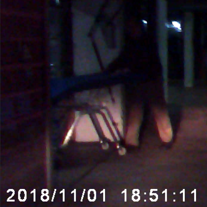 SP52948-Lot-181-Stan-Pogorelsky-using-shopping-trolley-kept-in-his-garage-dashboard-camera-1Nov2018