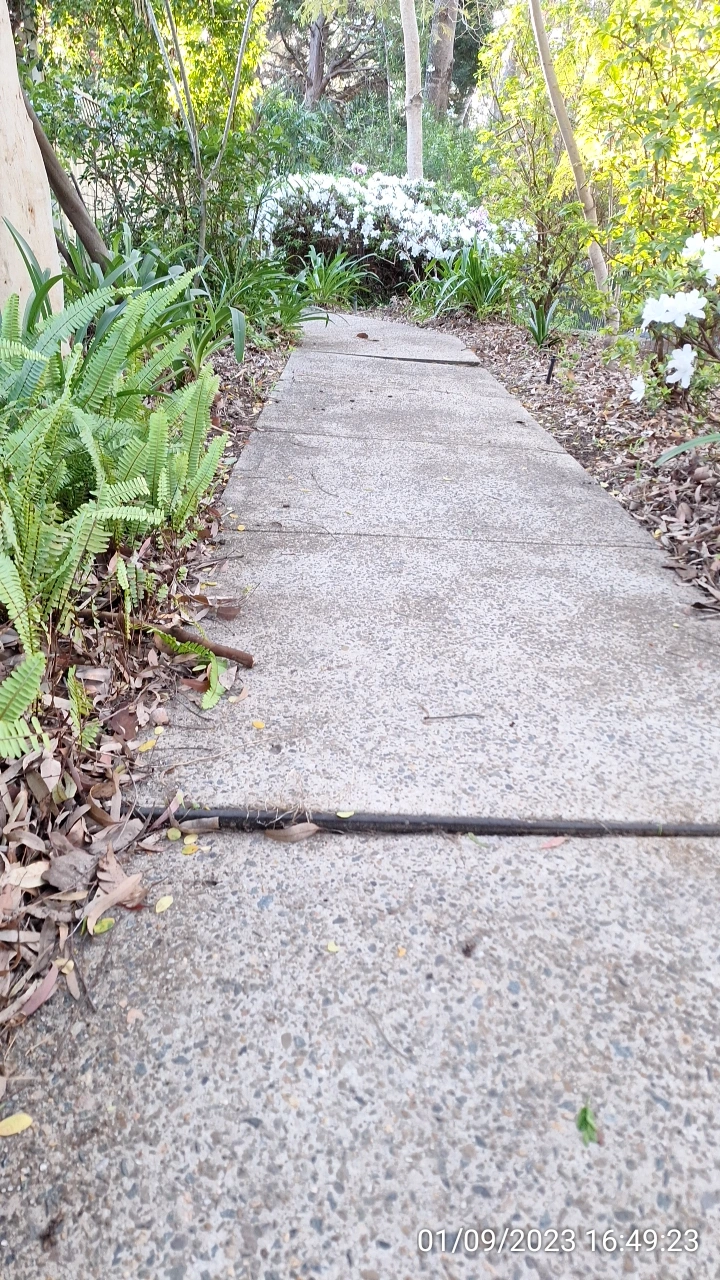 SP52948-OHS-tripping-hazard-walkway-behind-townhouses-photo-2-1Sep2023.webp