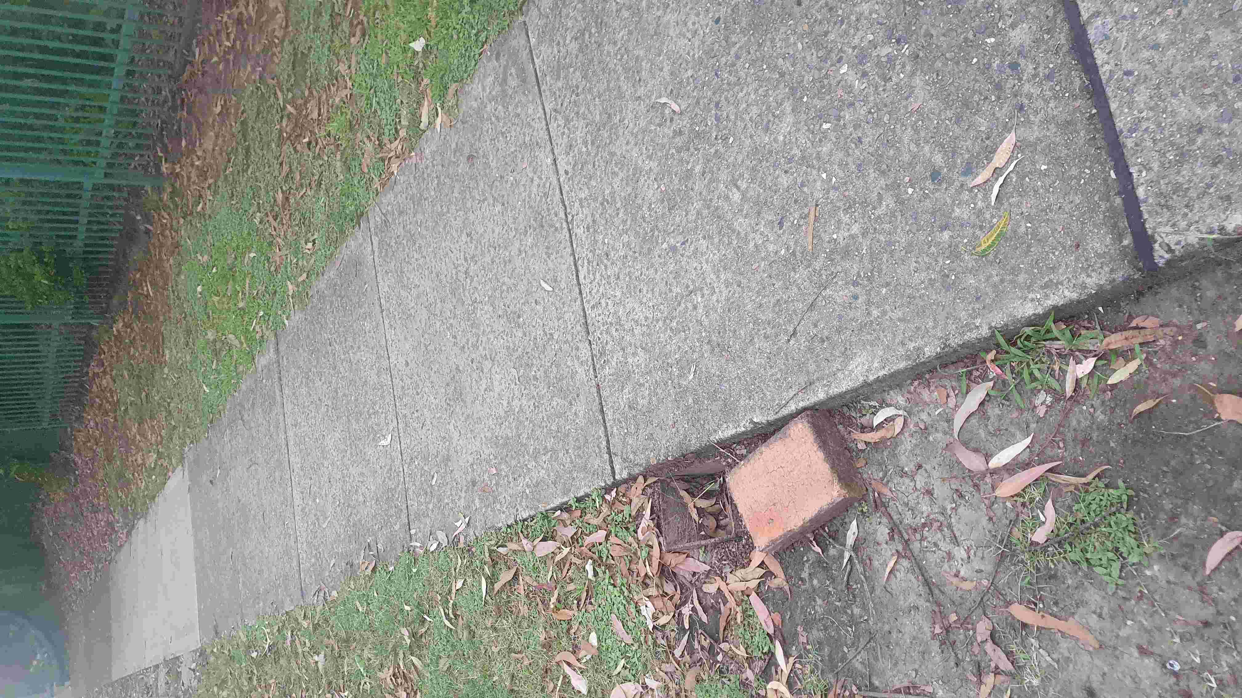 SP52948-OHS-tripping-hazard-with-hole-near-pathway-in-front-of-complex-photo-4-14Feb2022.jpg