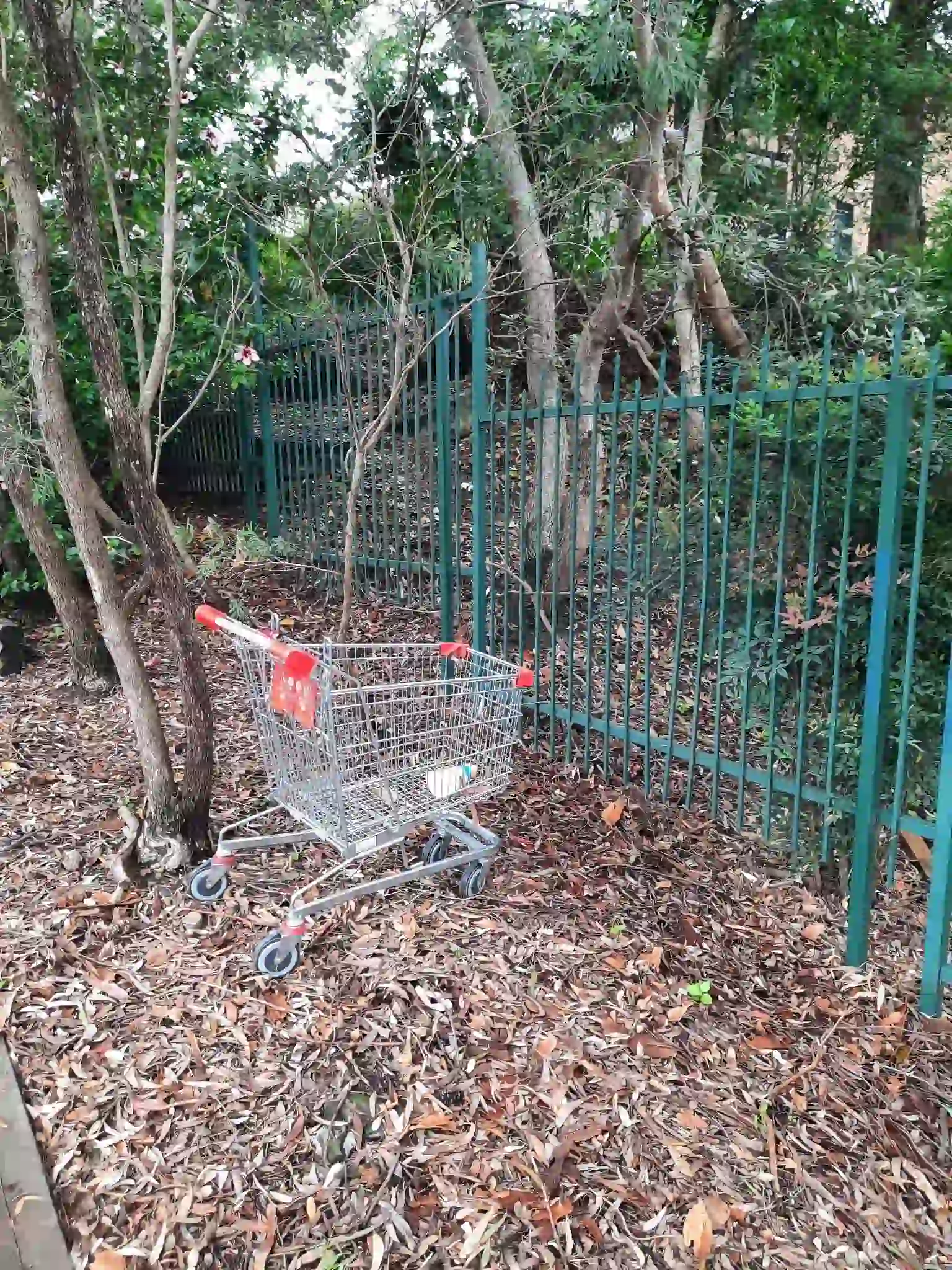 SP52948-abandoned-shopping-centre-trolley-on-Fontenoy-Road-near-townhouses-6Jan2022