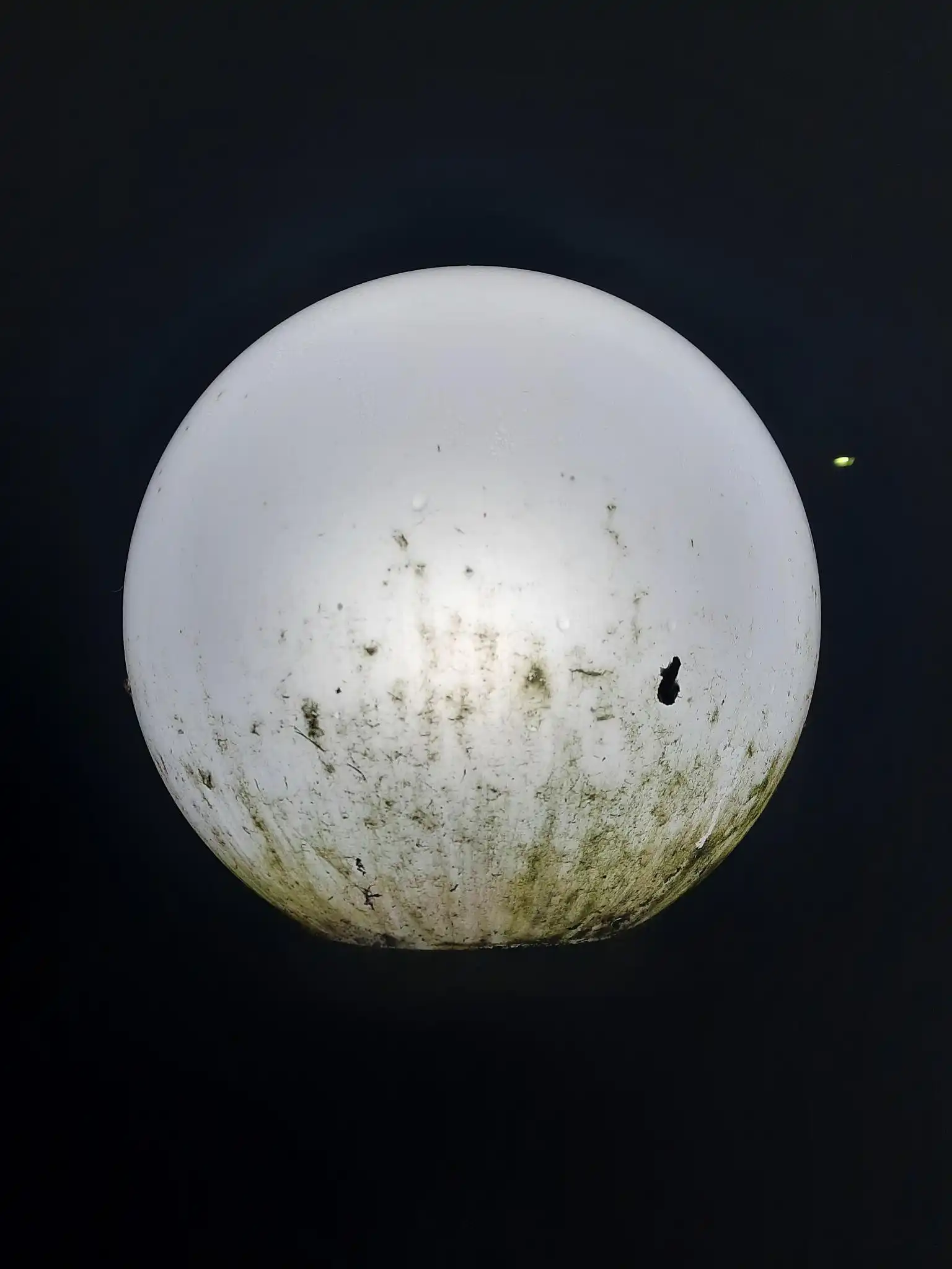 SP52948-appearance-of-garden-light-ball-photo-3-3Aug2022