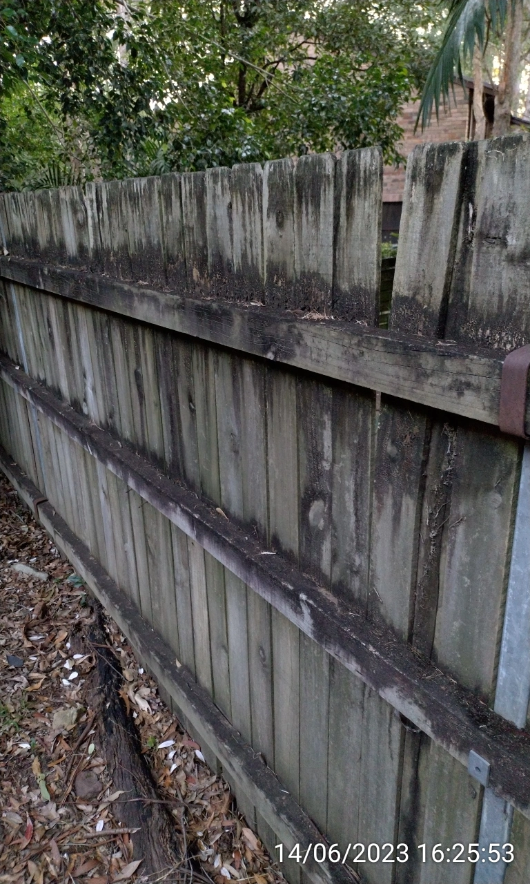 SP52948-appearance-of-timber-fence-behind-townhouses-photo-21-14Jun2023.webp