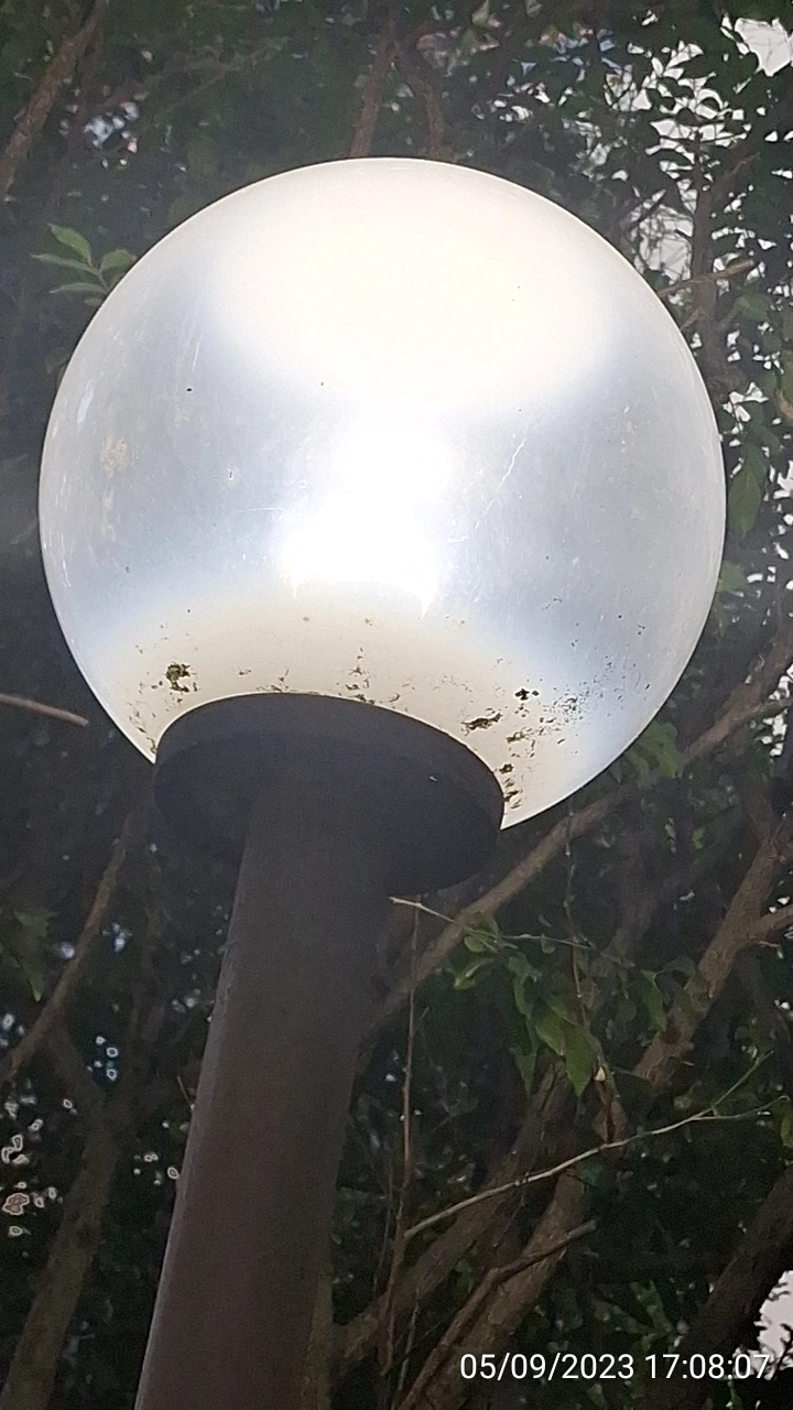 SP52948-energy-waste-garden-lights-switched-on-in-broad-daylight-5Sep2023.webp