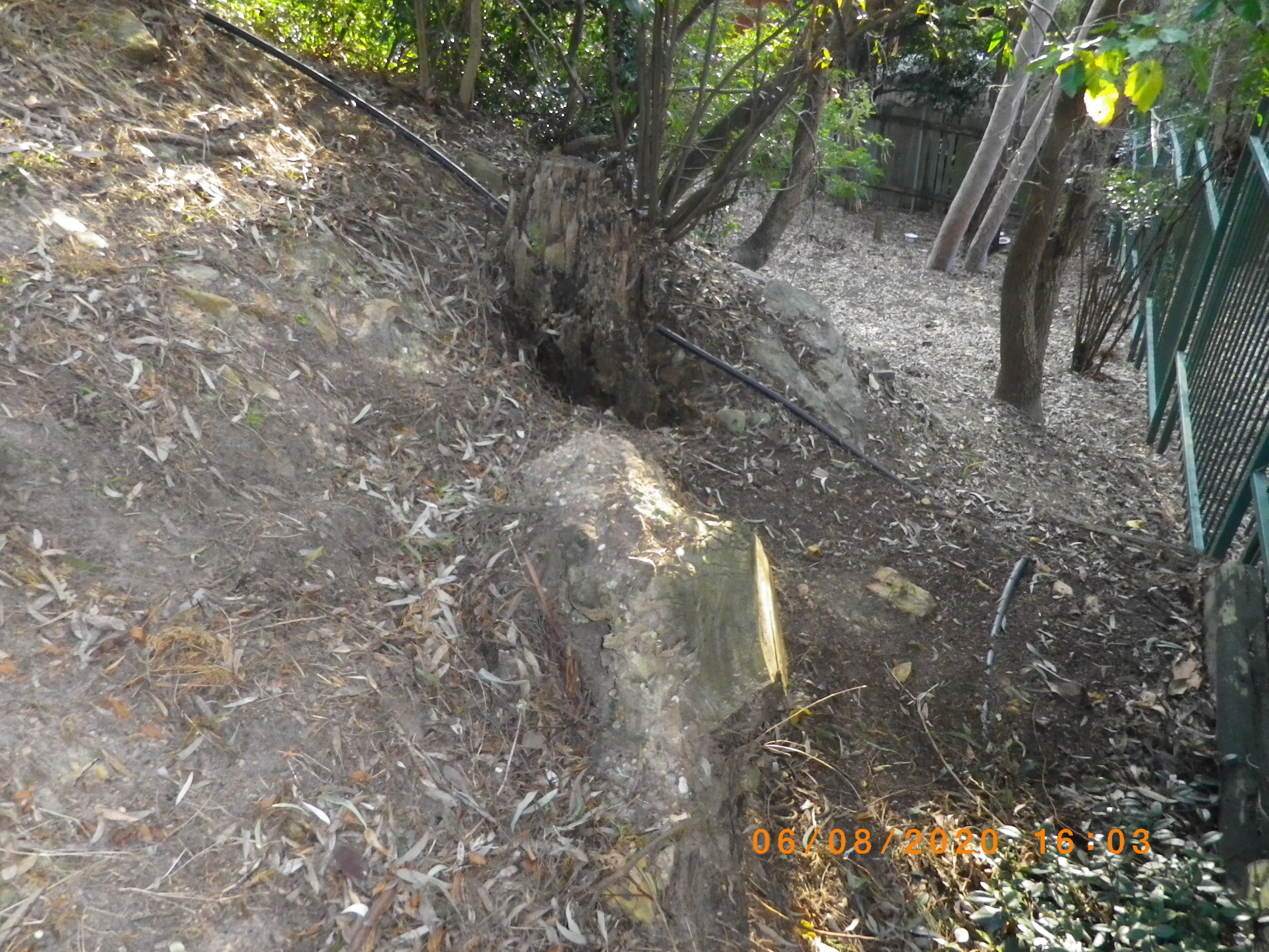 SP52948-eroded-soil-after-fallen-tree-in-late-2018-behind-townhouses-photo-1-6Aug2020.jpg