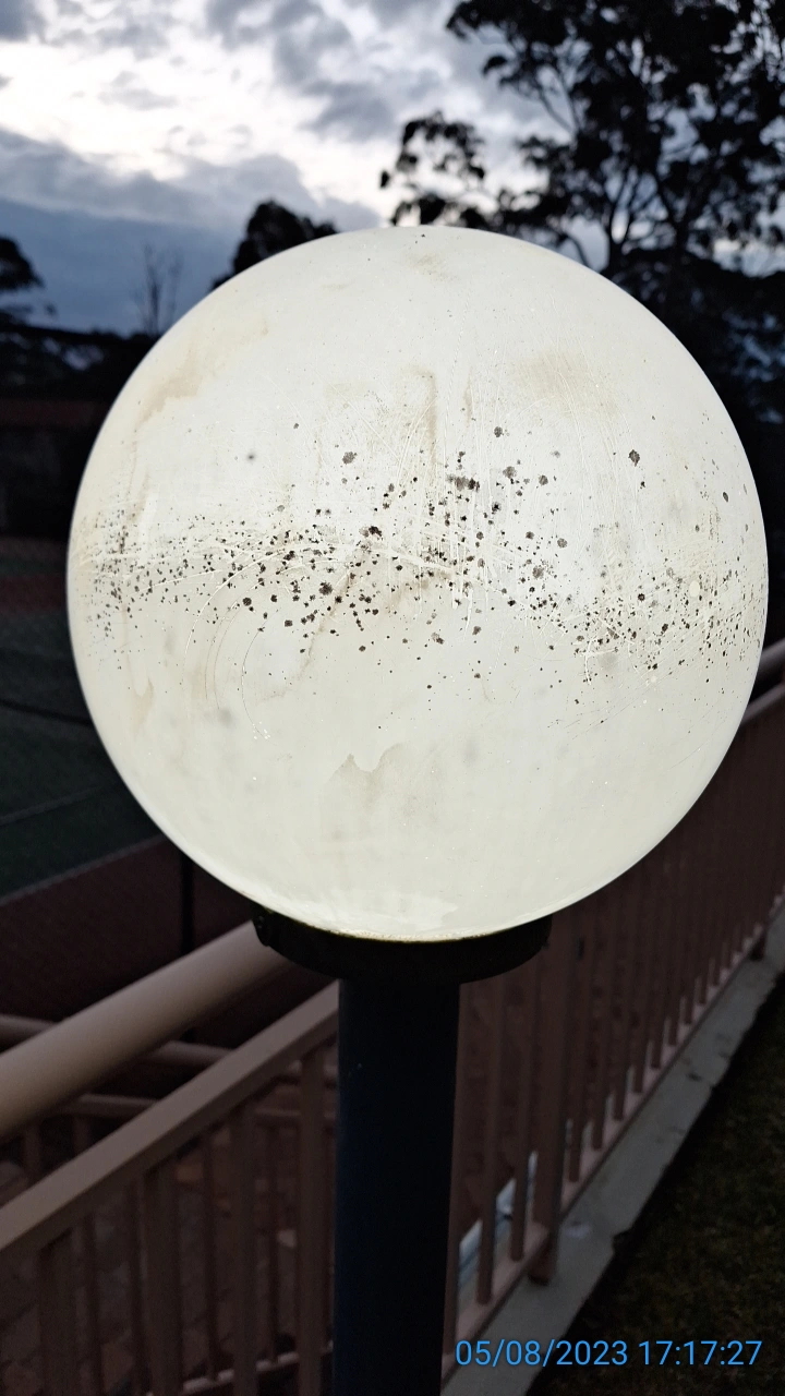 SP52948-gardens-unmaintained-light-post-globe-photo-8-5Aug2023.webp