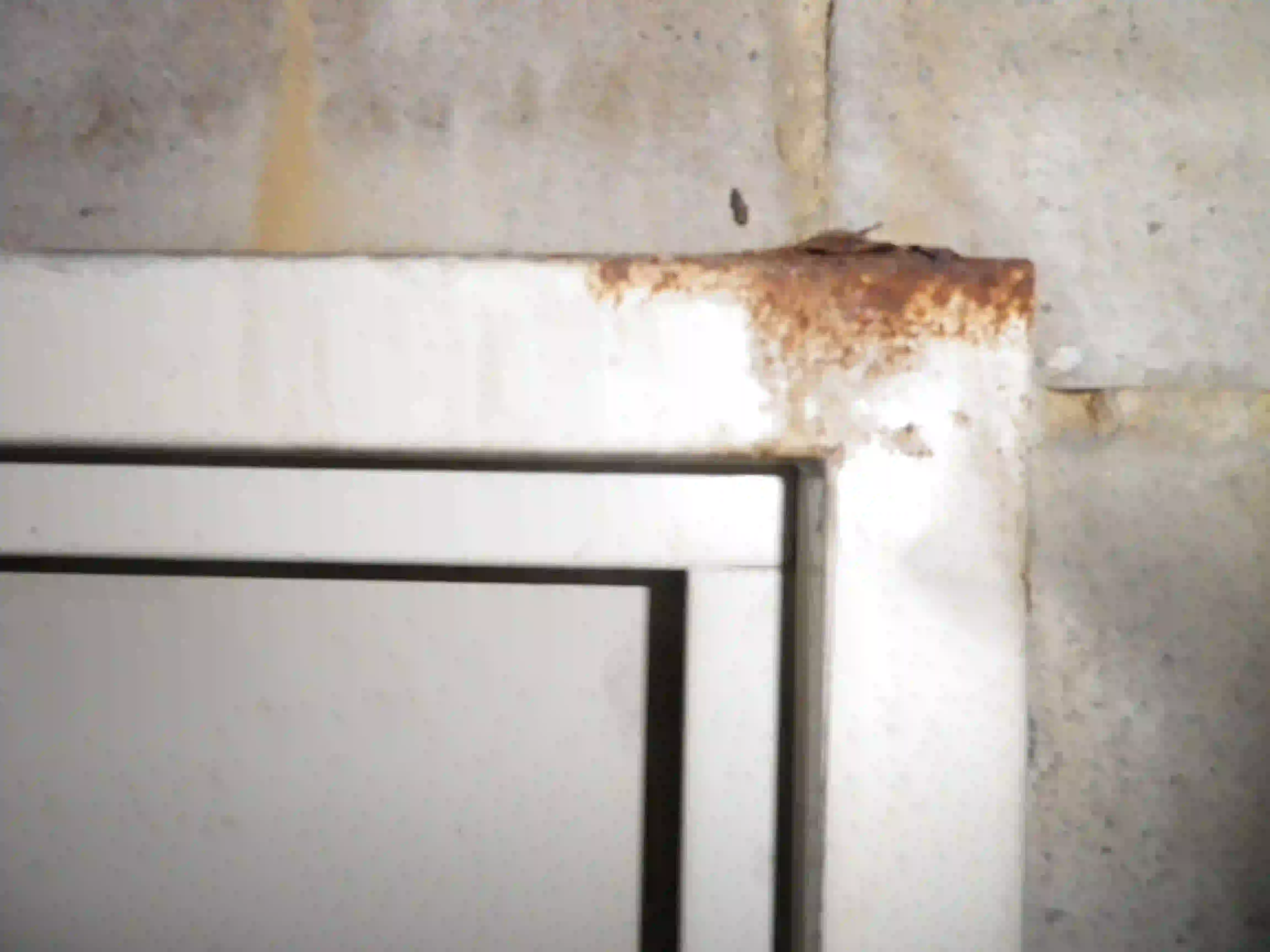 SP52948-internal-fire-door-between-Block-C-and-Block-D-rusted-frame-due-to-water-damages-photo-3-16Apr2021.webp