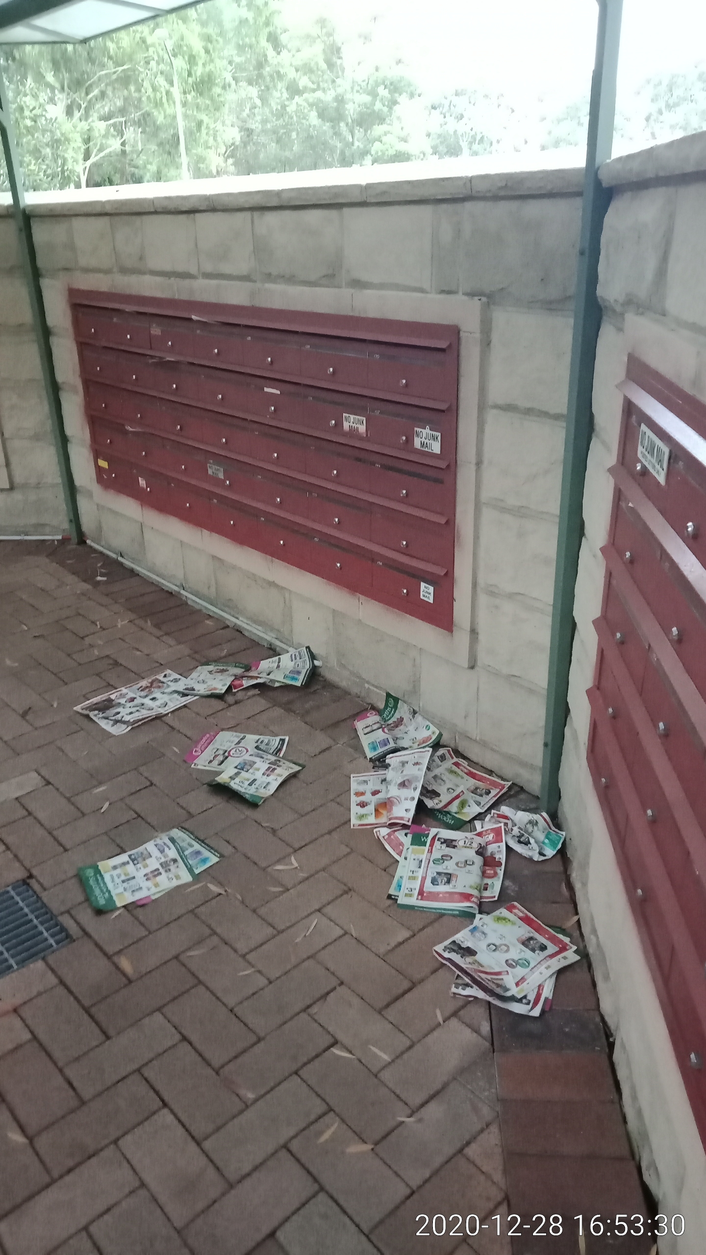 SP52948-junk-mail-thrown-near-letterboxes-photo-1-28Dec2020.jpg