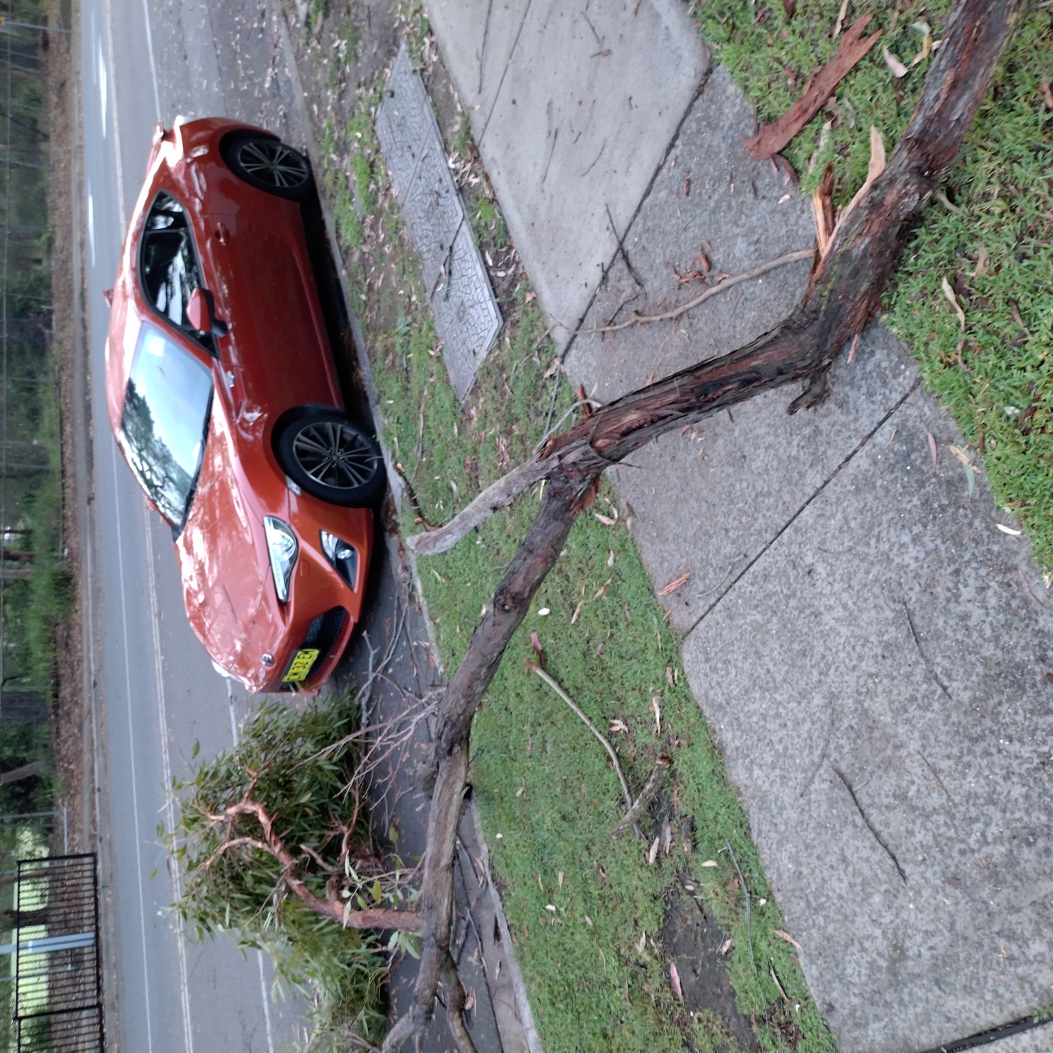 SP52948-large-tree-branch-fallen-on-Fontenoy-Road-photo-3-19Feb2023.jpg