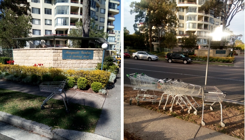SP52948-persistent-pollution-of-environment-instead-of-organising-proper-supermarket-trolley-collections-Oct2018