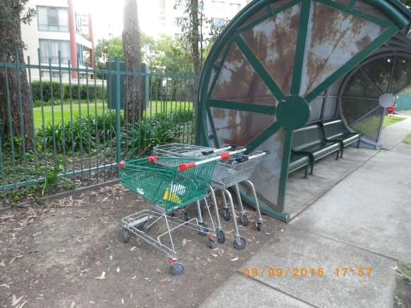 SP52948-persistent-pollution-of-environment-instead-of-organising-proper-supermarket-trolley-collections-Sep2015