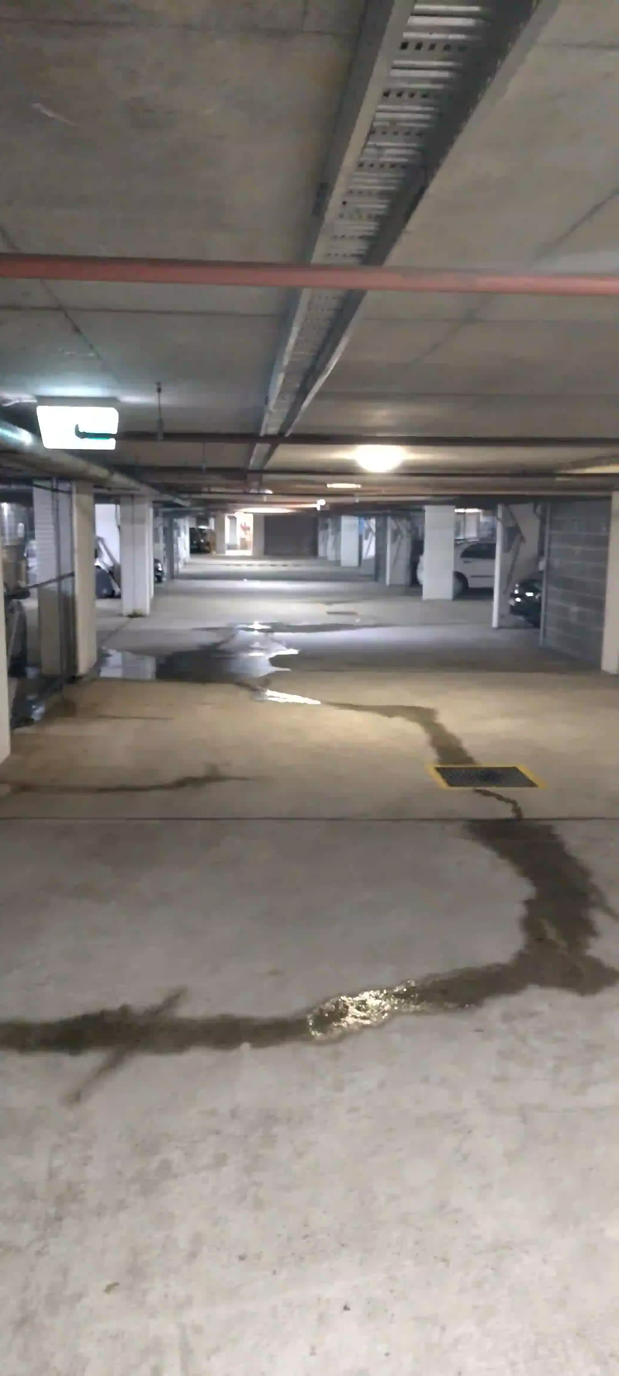 SP52948-persistent-water-leakages-and-water-related-damages-in-basement-photo-3-4Jul2022