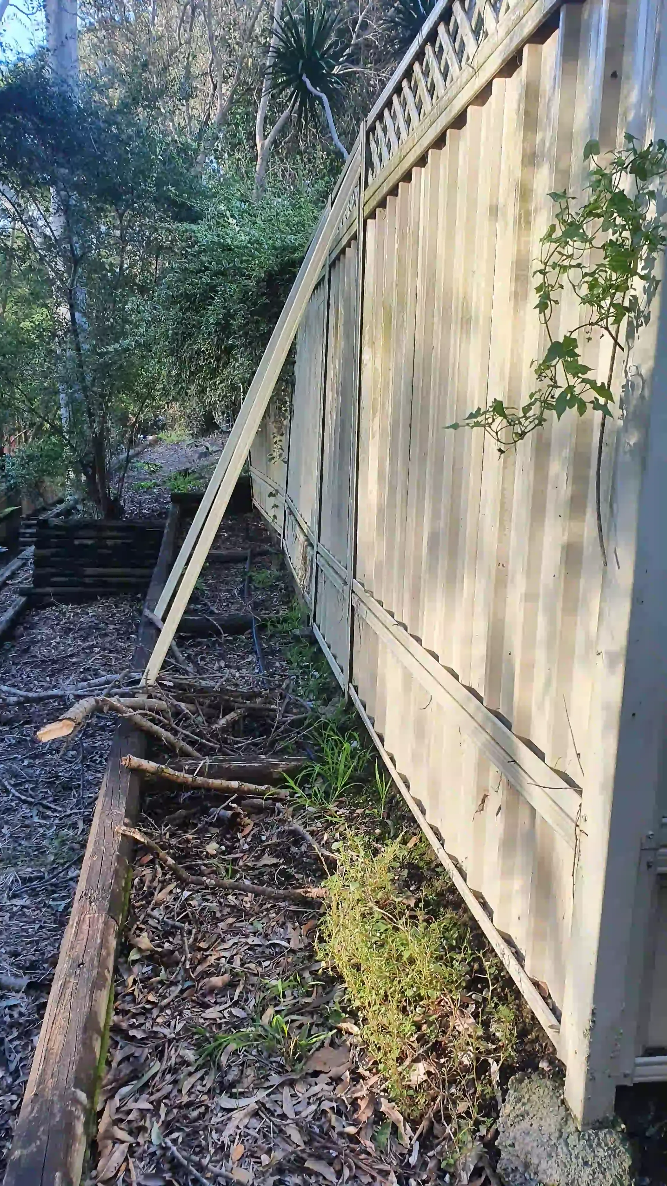 SP52948-townhouse-colorbond-fence-unmaintained-for-more-than-seven-years-photo-3-7Jun2022