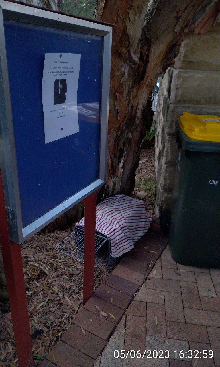 SP52948-unattended-animal-cage-near-letterboxes-photo-2-5Jun2023.webp