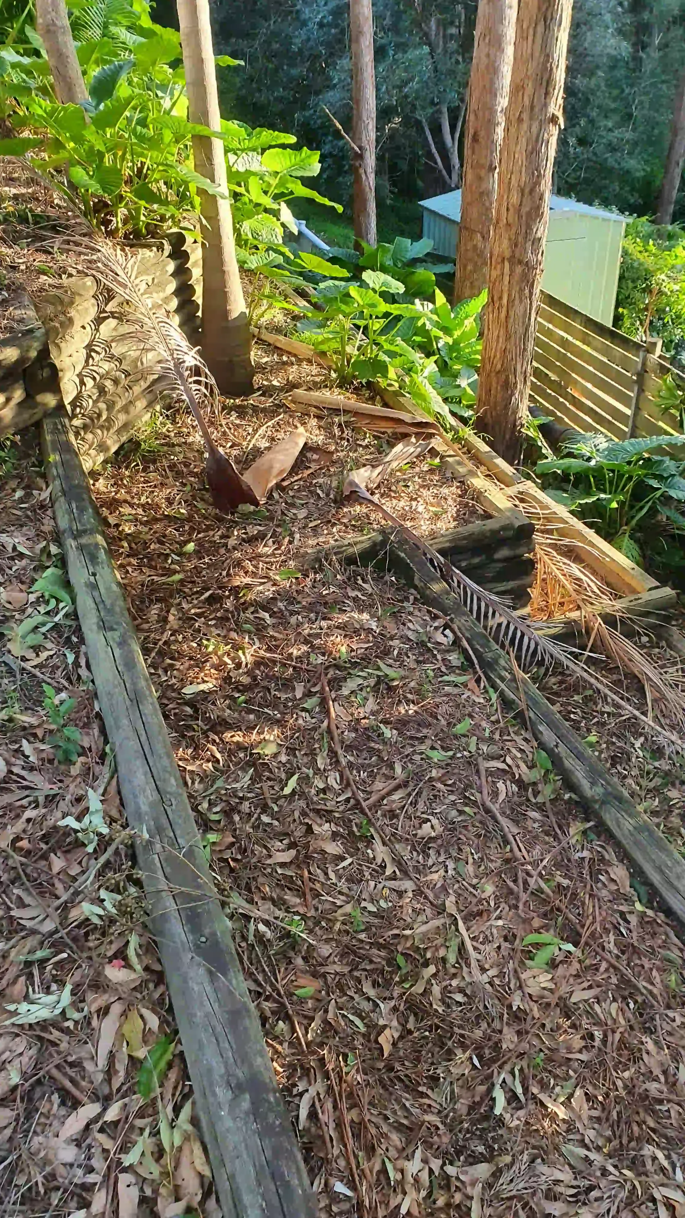 SP52948-unsafe-gardens-without-railings-behind-townhouses-photo-8-7Jun2022