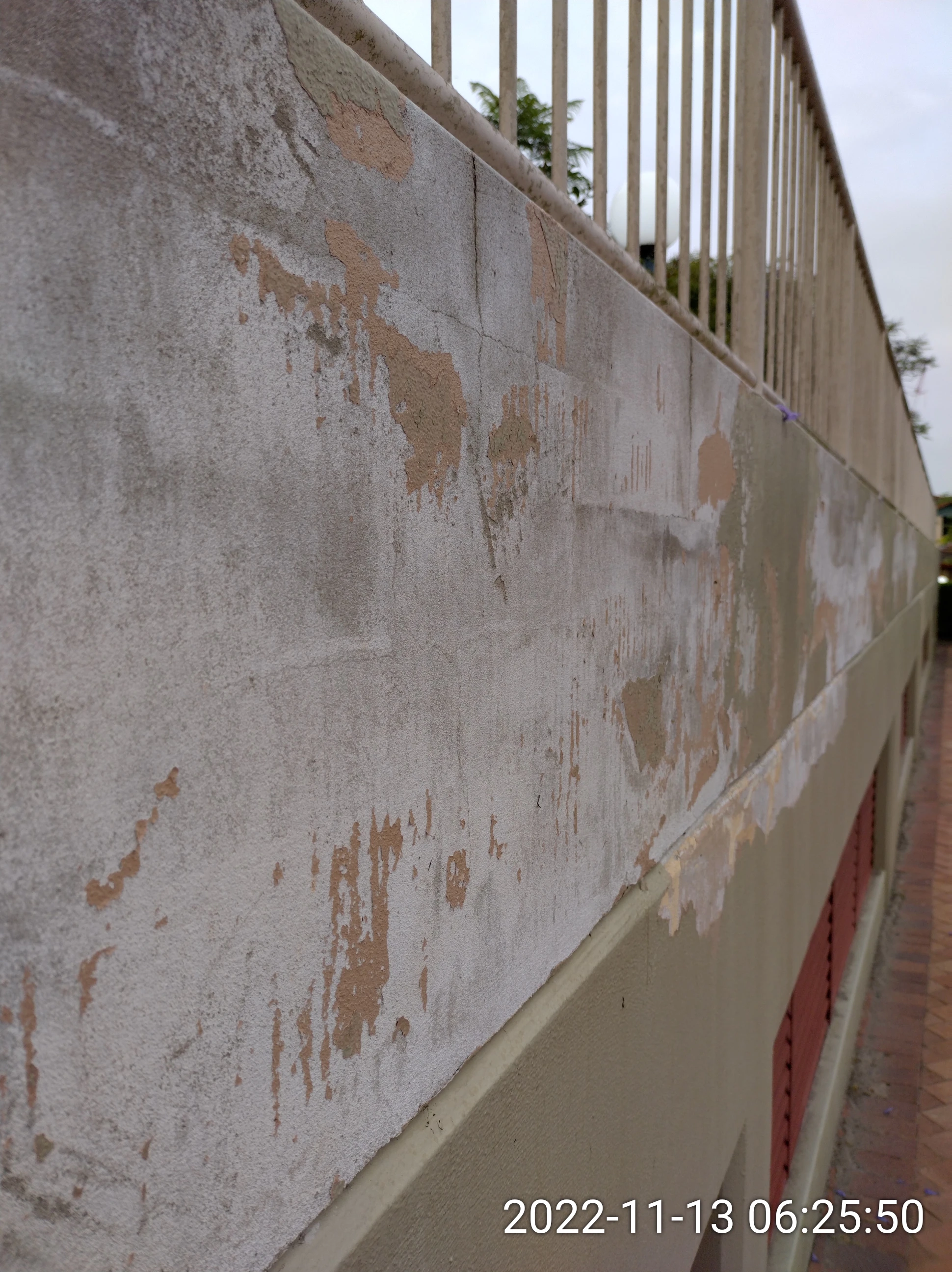 SP52948-water-damages-on-garden-bed-wall-near-tennis-courts-13Nov2022-photo-33.webp