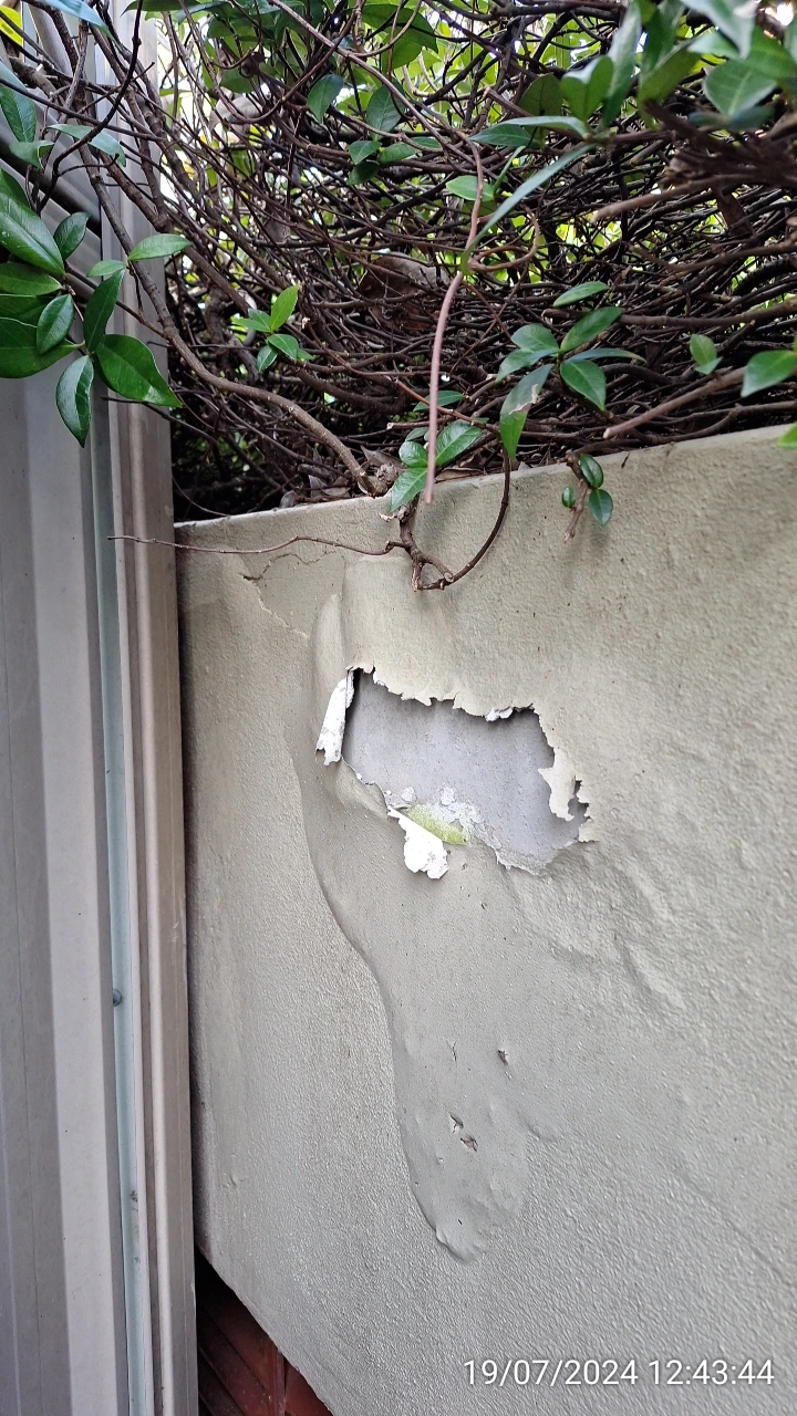 SP52948-Block-B-garden-bed-damage-photo-1-19Jul2024