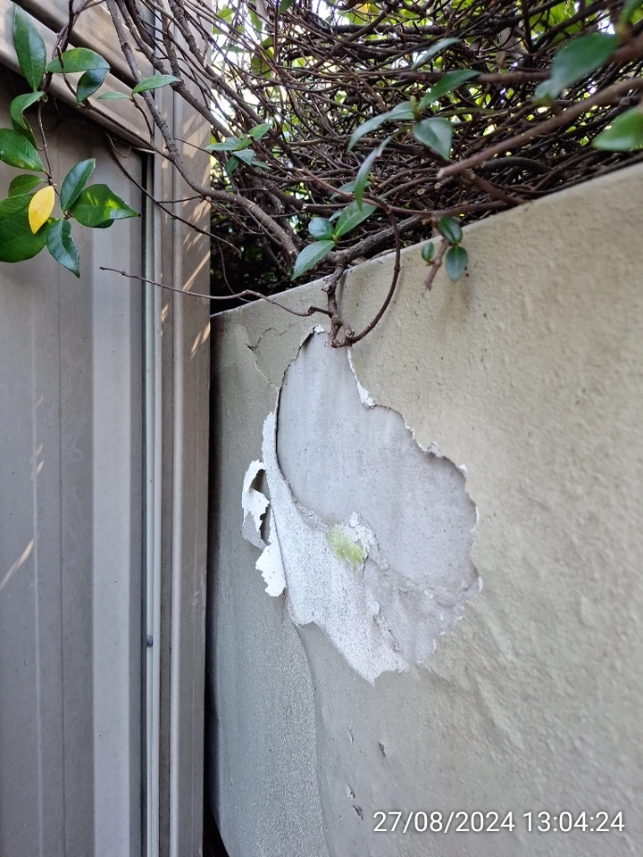 SP52948-Block-B-neglected-garden-wall-photo-1-27Aug2024