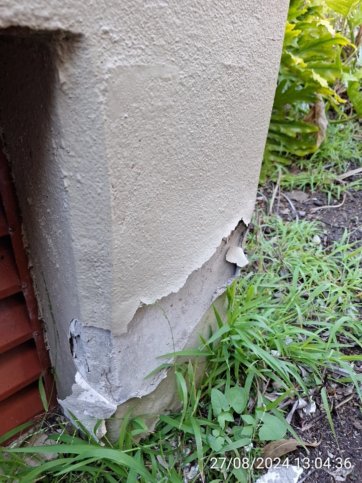 SP52948-Block-B-neglected-garden-wall-photo-3-27Aug2024