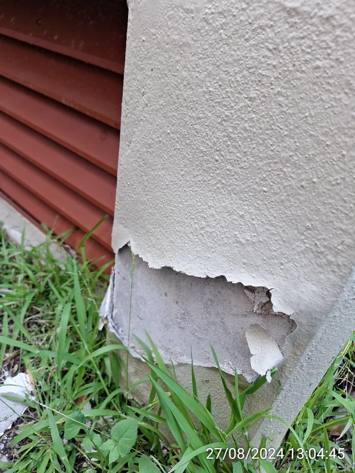 SP52948-Block-B-neglected-garden-wall-photo-4-27Aug2024