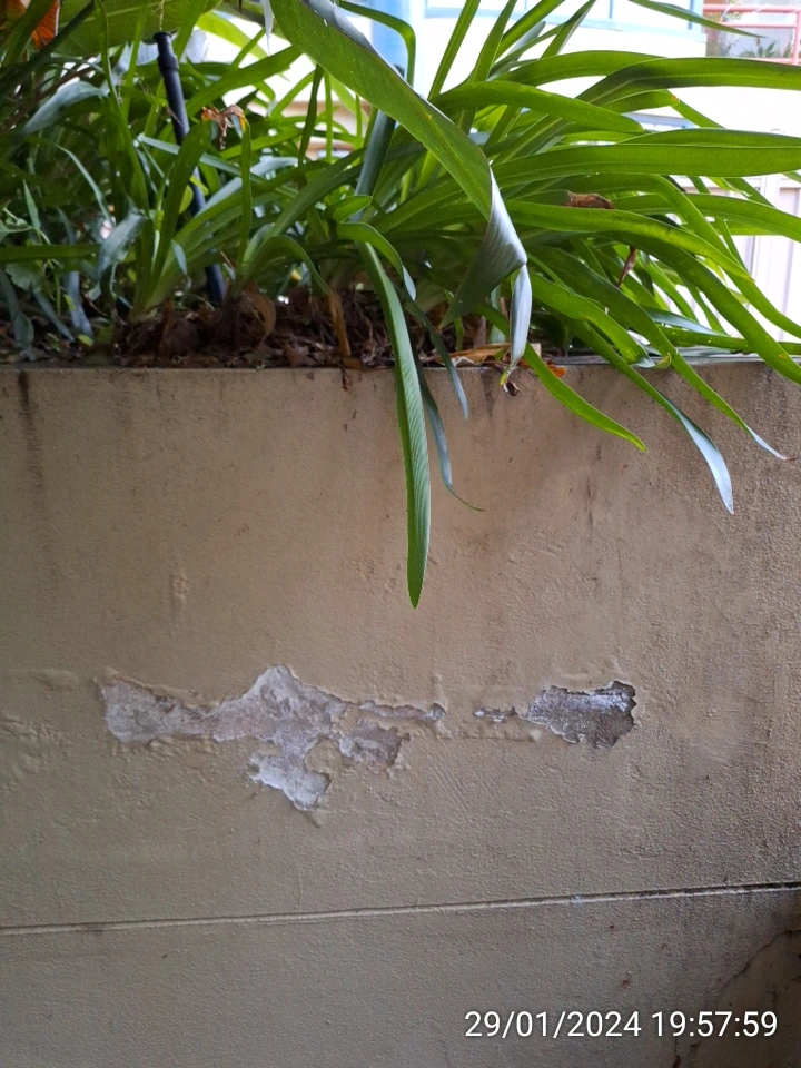 SP52948-Block-D-damaged-garden-bed-wall-photo-1-29Jan2024.webp