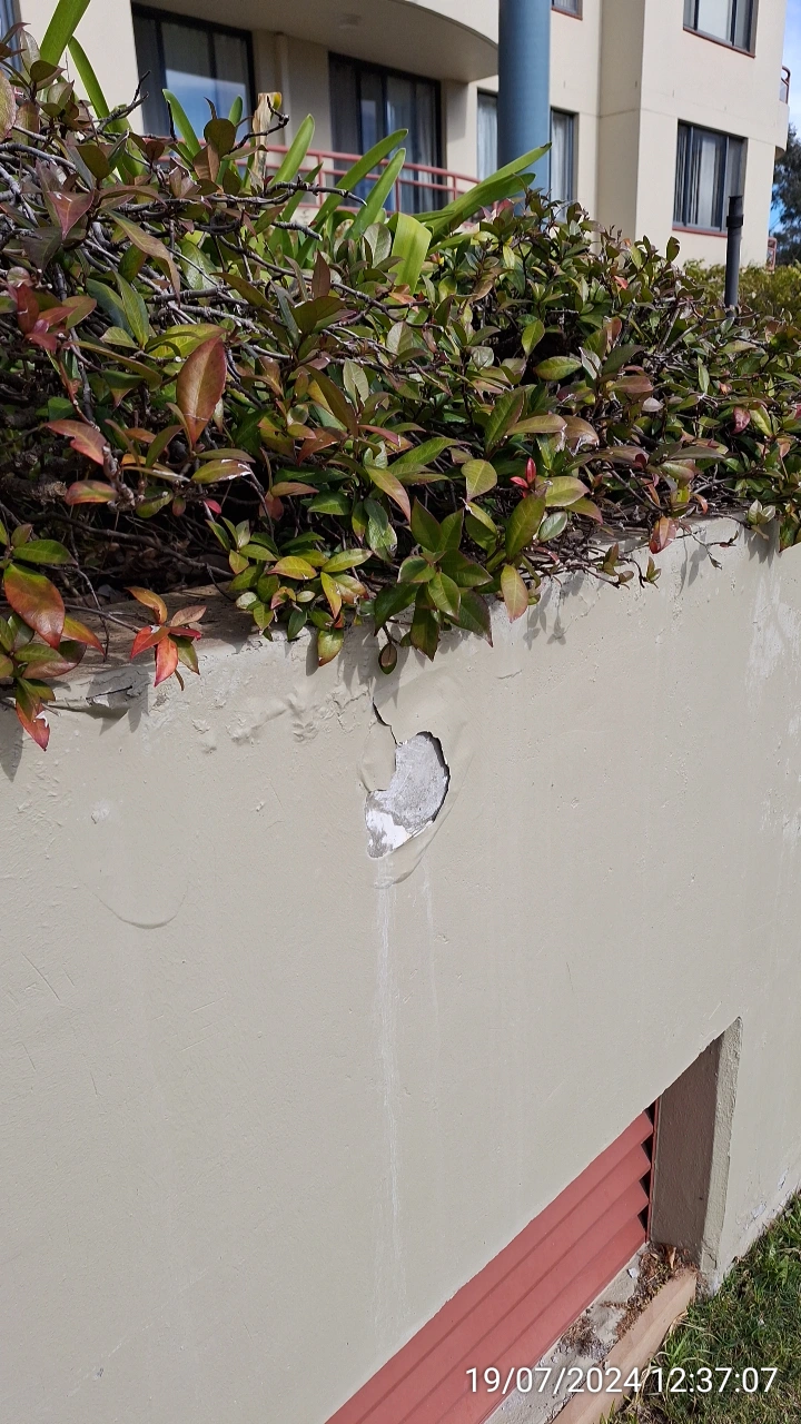 SP52948-Block-D-garden-bed-damage-photo-2-19Jul2024
