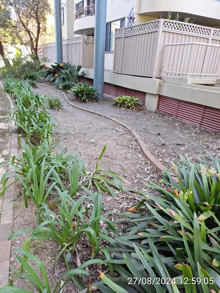 SP52948-Block-D-neglected-garden-photo-1-27Aug2024