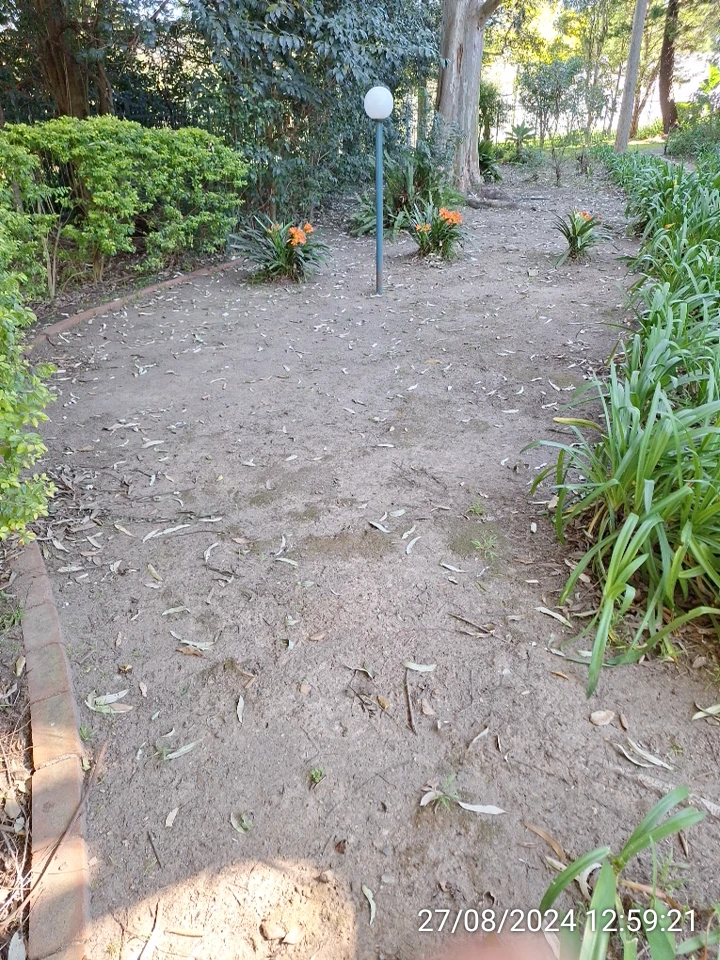 SP52948-Block-D-neglected-garden-photo-2-27Aug2024