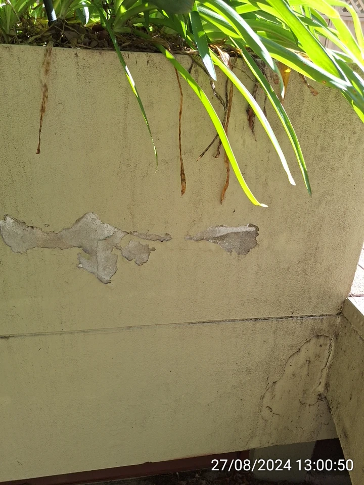 SP52948-Block-D-neglected-garden-wall-photo-1-27Aug2024