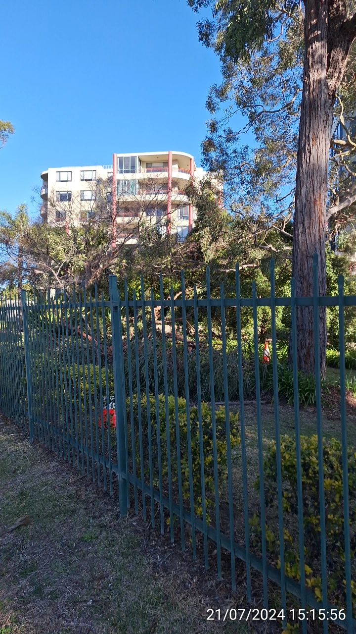 SP52948-fallen-large-tree-branches-near-Fontenoy-Road-and-public-carpark-photo-13-21Jul2024