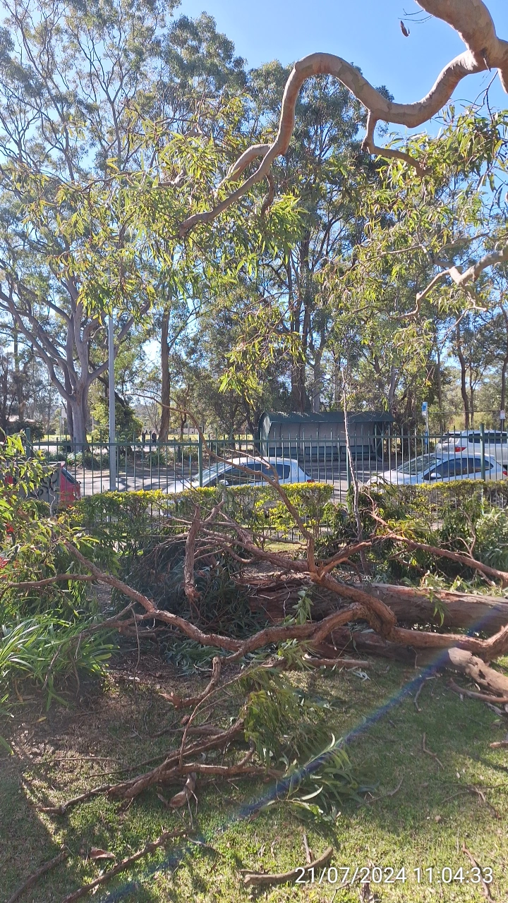 SP52948-fallen-large-tree-branches-near-Fontenoy-Road-and-public-carpark-photo-3-21Jul2024