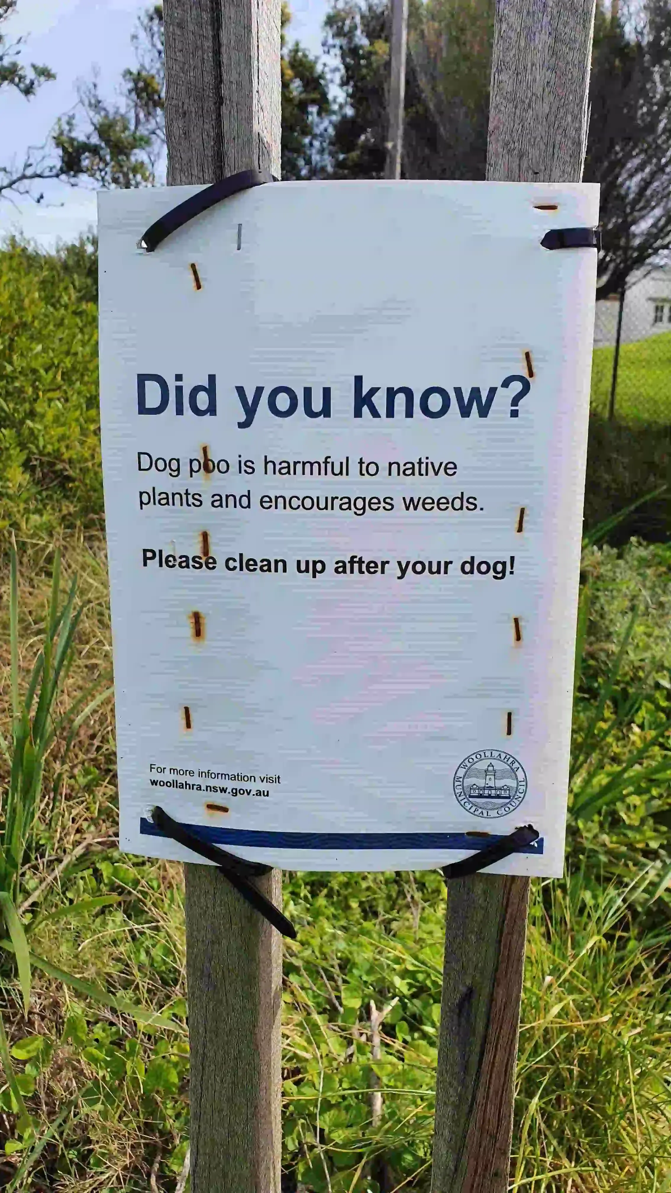 Watsons-Bay-notice-about-dog-poo-harmful-photo-1-18Apr2022.webp