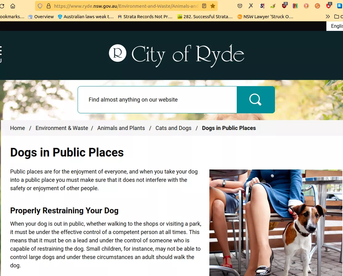 Ryde-Council-dogs-in-public-places.webp