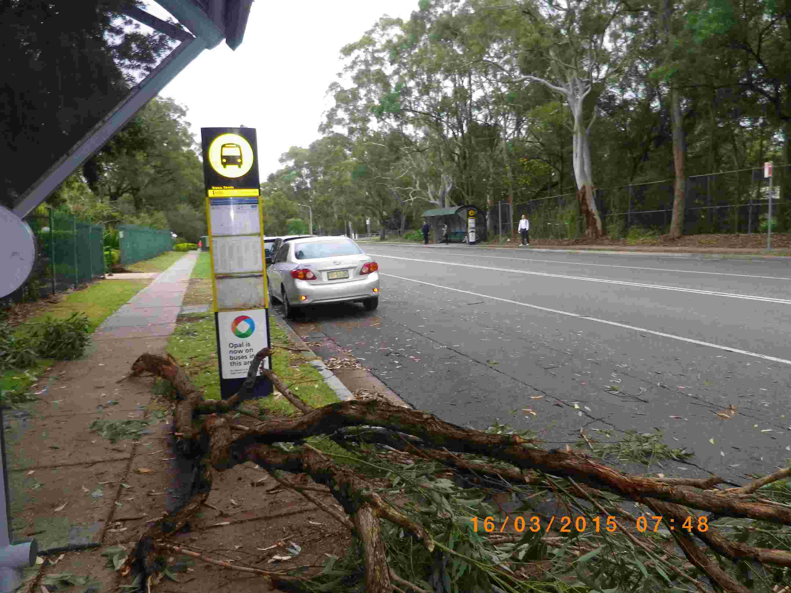 SP52948-fallen-tree-across-the-fence-towards-bus-stop-photo-1-16Mar2015.jpg