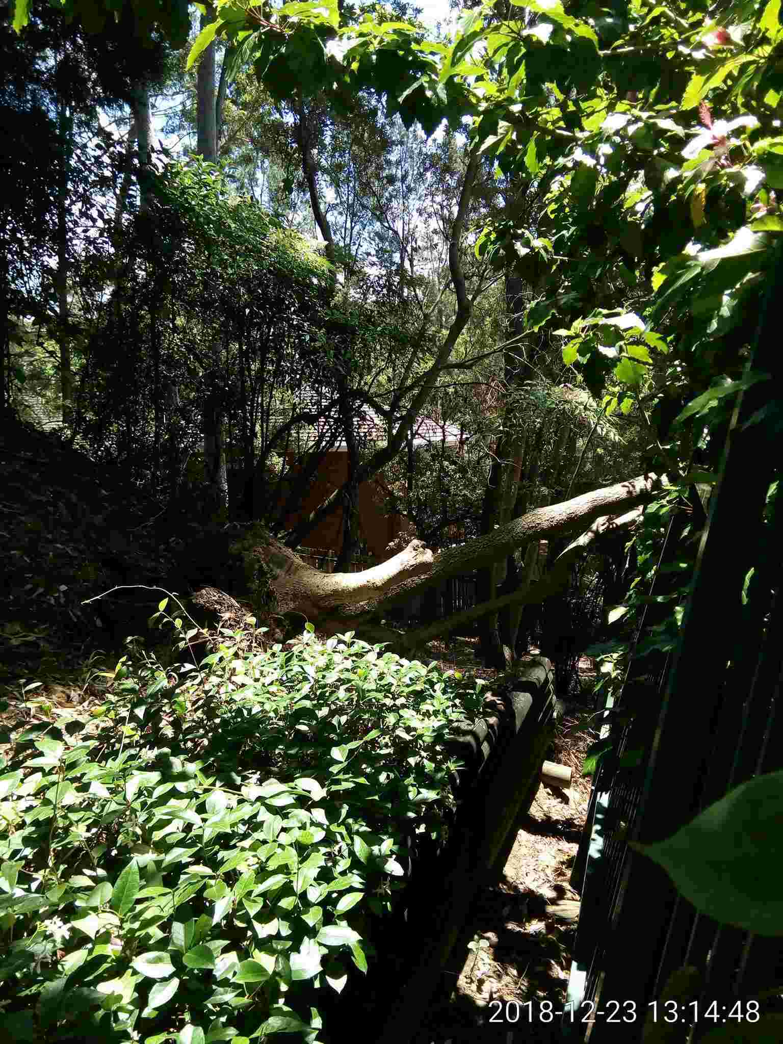 SP52948-neglected-damage-to-fence-due-to-uprooted-tree-that-might-cause-damage-to-property-outside-complex-photo-1-23Dec2018.jpg