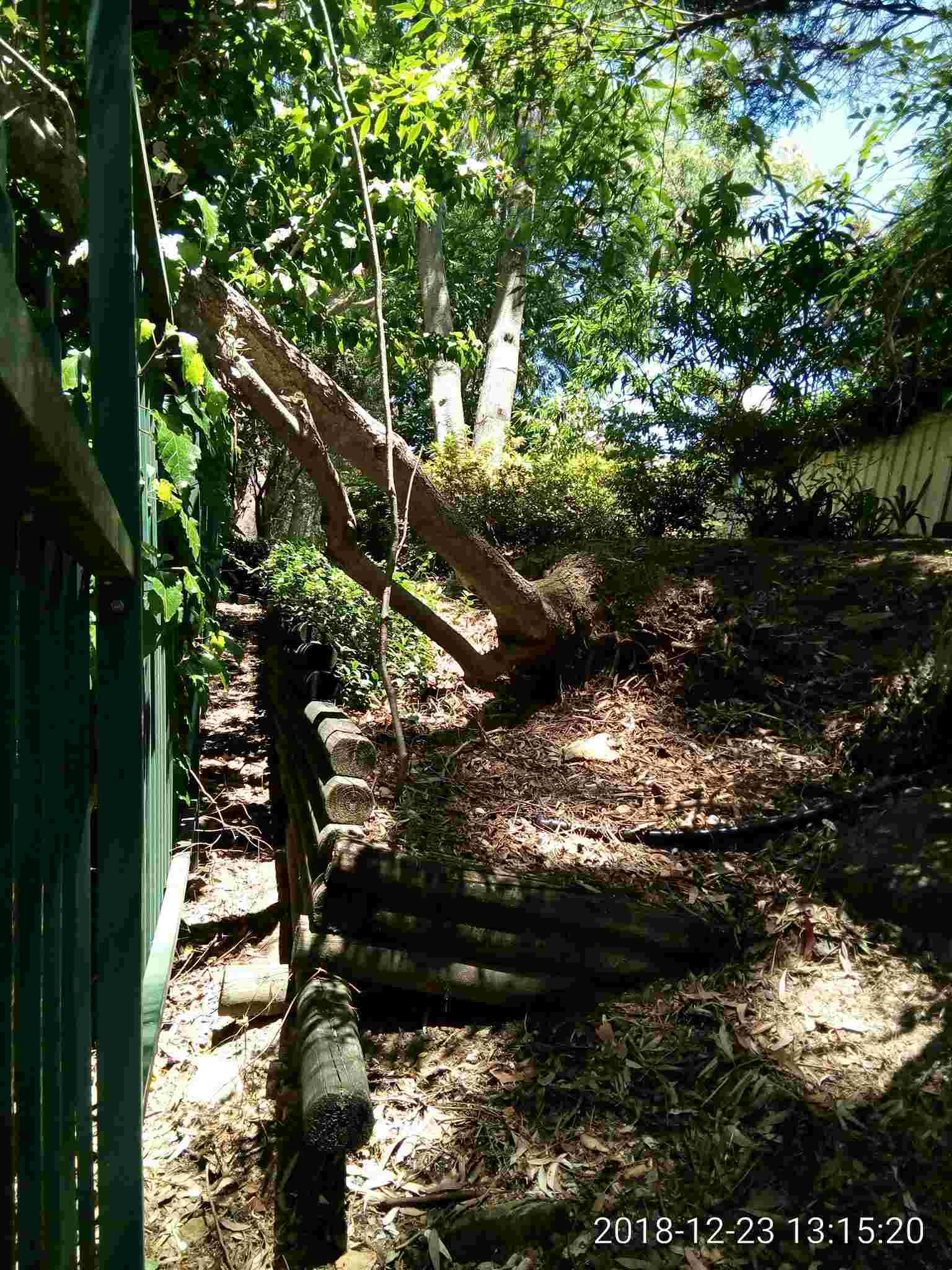 SP52948-neglected-damage-to-fence-due-to-uprooted-tree-that-might-cause-damage-to-property-outside-complex-photo-2-23Dec2018.jpg