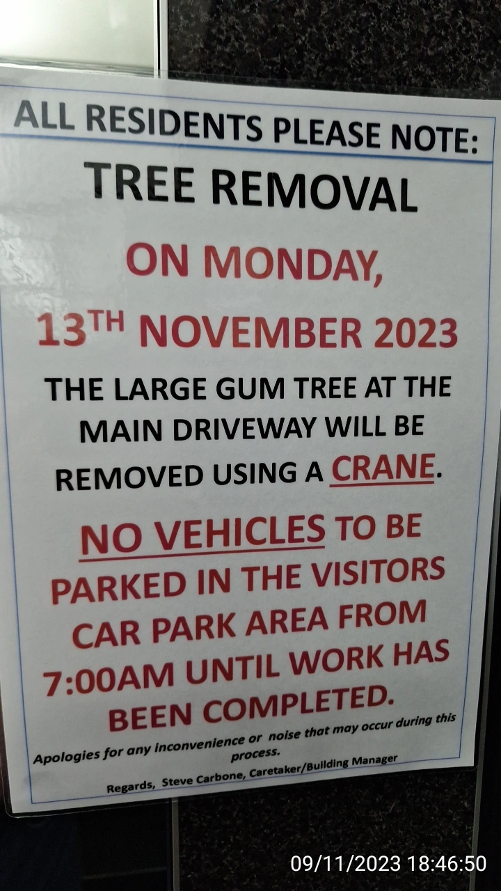 SP52948-notice-about-overdue-large-gum-tree-removal-9Nov2023.webp